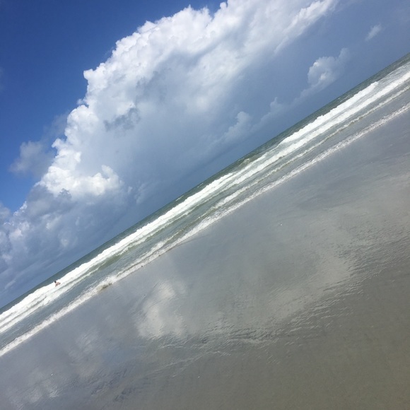 Meet your Posher, Brandy - Picture 1 of 1